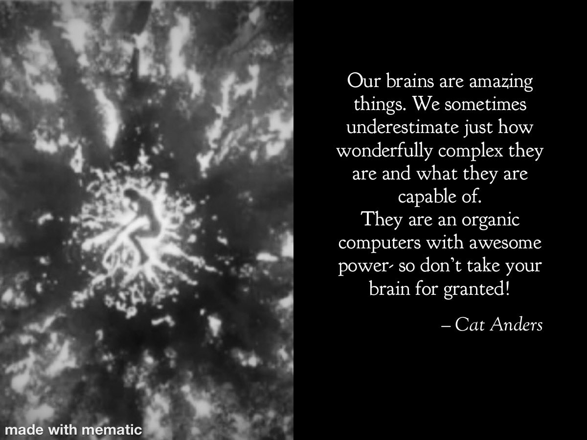 anders_cat's tweet image. Thought of the day: