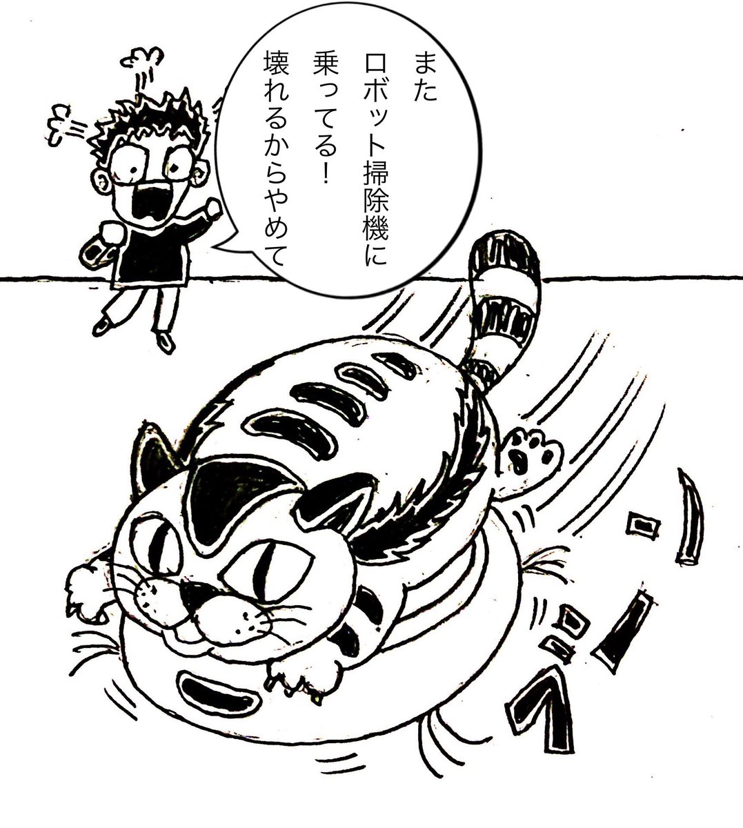 Z9molflpgxwf9m Z9molflpgxwf9m