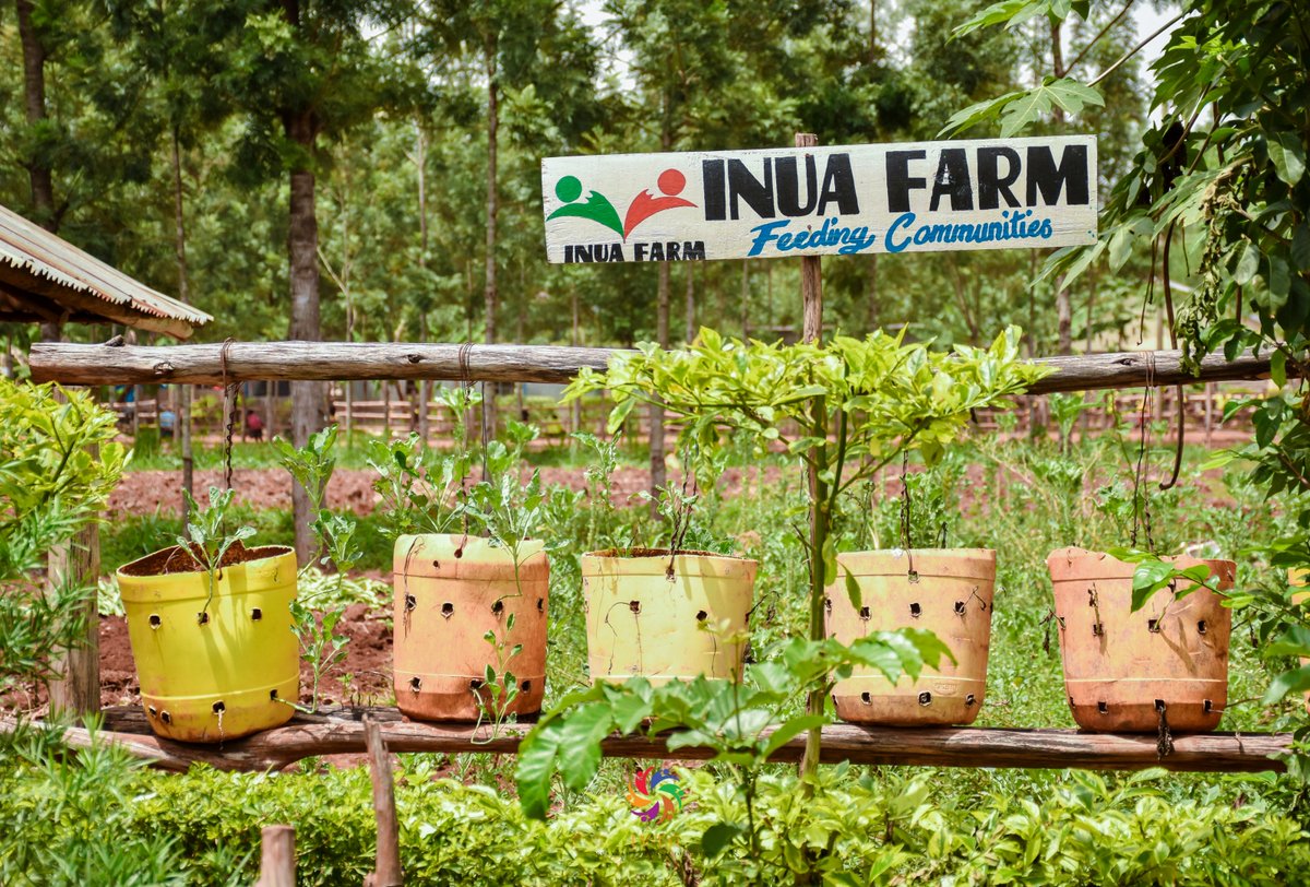 IVTGFoundation's tweet photo. We welcome @VihigaCountyGov plan to boost food security in the county through farmer field schools. For over 5 years we have been running Inua Food &amp; Nutrition Programme. #InuaFarm #VihigaFoodSecurity https://t.co/jdtU7UQlO9