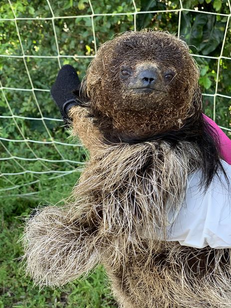 Guilherme Garbino 🇧🇷 🇵🇸 tweet media