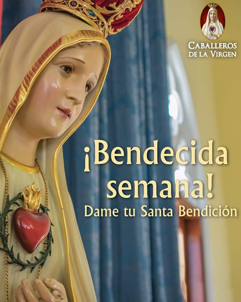 RuizHurtadoRE's tweet photo. ¡Bendecida Semana!
Sagrada María, tu esclavo soy, con tu licencia a pasar el día voy. #NoPermitas, Madre mía, por tu pura e inmaculada concepción, que caiga en pecado venial o mortal y que muera sin confesión.
Tú, como mi buena Madre, dame tu santa #Bendición. https://t.co/5SIUpjjcej