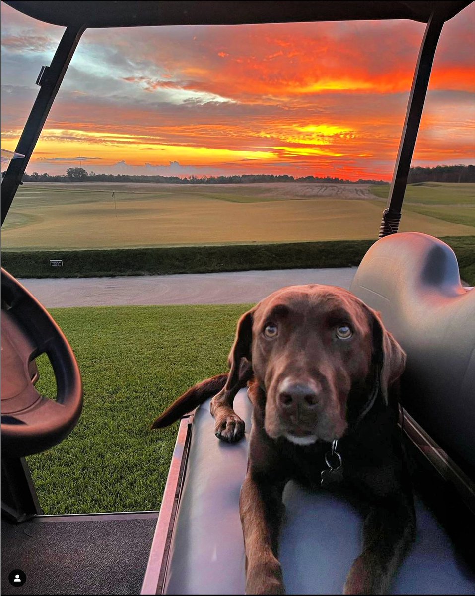 Good morning from Ace and the South Course Grounds Crew