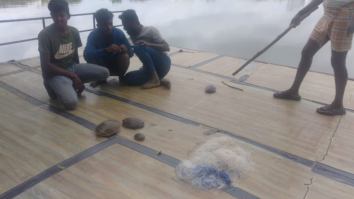 madhulikaS2's tweet image. Dhruvansh tm caught 3 Poachers at Neknampur Lake today out of 50 which r active in this area.There mission is to catch Terrapins,monitor lizards &amp;amp; sell them in open market.Neknampur lake is hotspot for Biodiversity.Expecting protecting of lake Biodiversity @KTRTRS @CollectorRRD