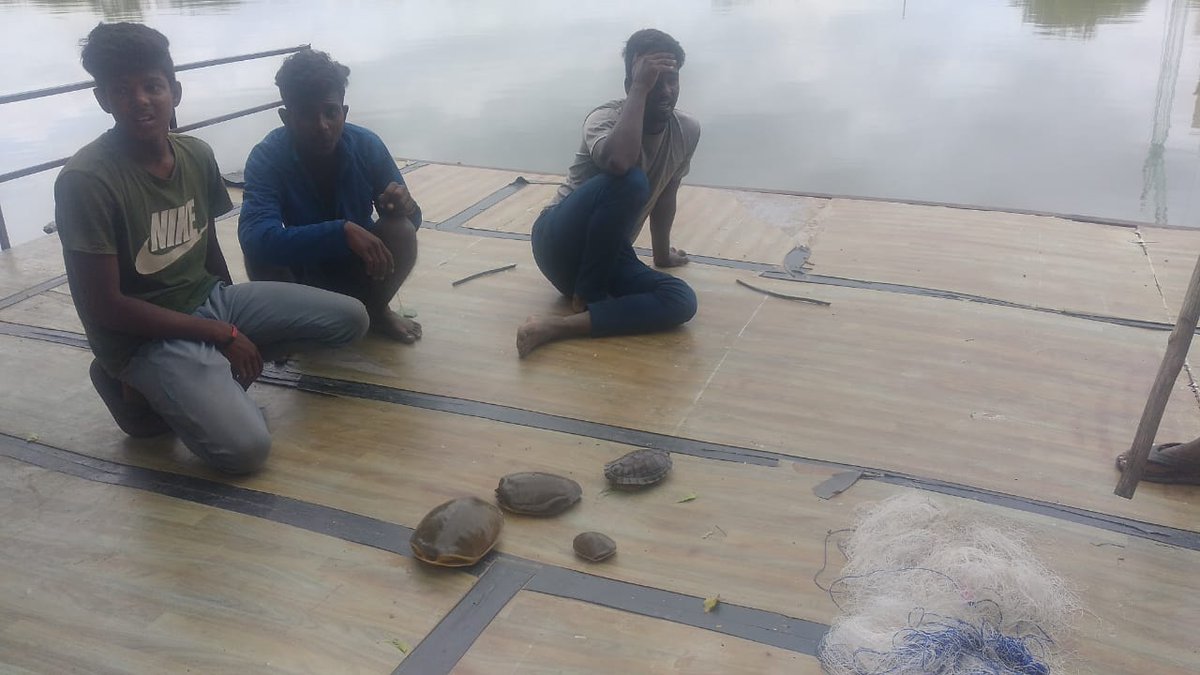 madhulikaS2's tweet image. Dhruvansh tm caught 3 Poachers at Neknampur Lake today out of 50 which r active in this area.There mission is to catch Terrapins,monitor lizards &amp;amp; sell them in open market.Neknampur lake is hotspot for Biodiversity.Expecting protecting of lake Biodiversity @KTRTRS @CollectorRRD