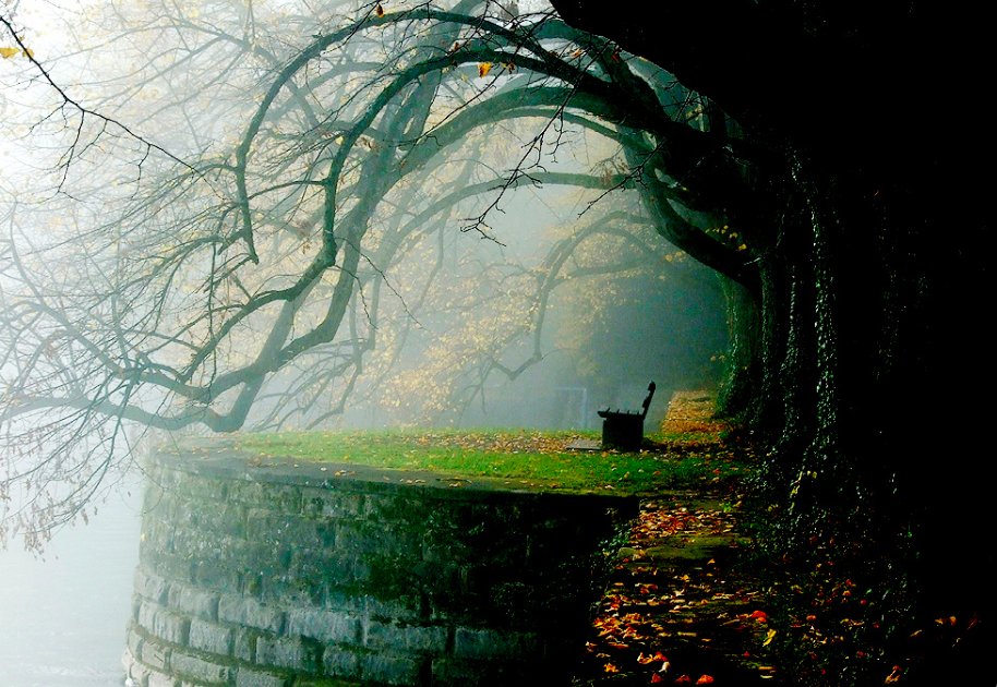 MoePhillips5's tweet photo. A perfect place to ponder poetry.  #poetryplayground https://t.co/GVv8eVdKg3