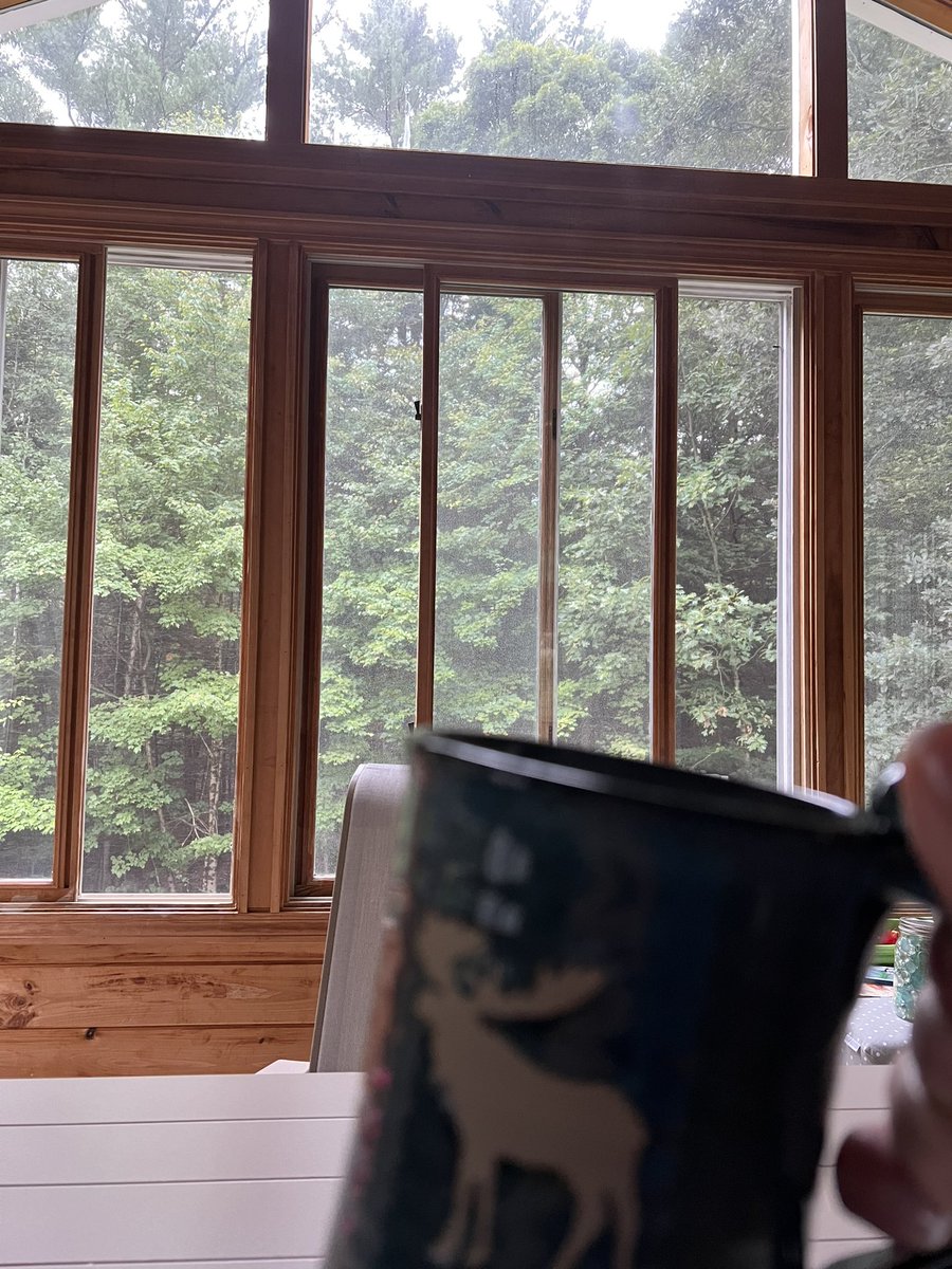 AlysonManion's tweet photo. Remote work life morning brew… https://t.co/C4V6pLHfii