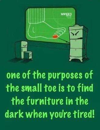 DigitusMedialis's tweet photo. #DidYouKnow #anatomylesson https://t.co/erLQJqx2UH