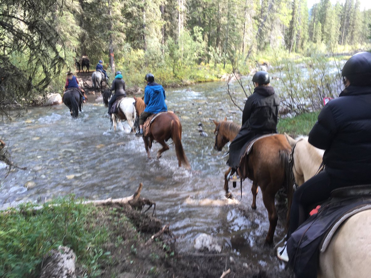 Two days horseback riding through Banff National Park - was epic! 🤠🐎🏔❤️🇨🇦