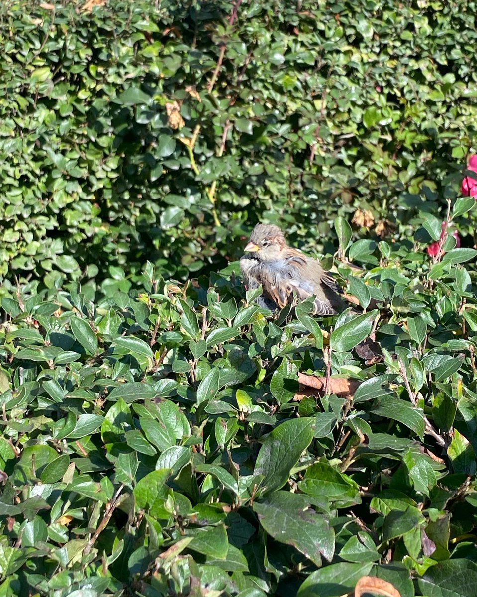 LIVANTER's tweet image. Still can’t wrap my head around these photos being 5 minutes apart😂 Absolutely adored Helsinki🇫🇮