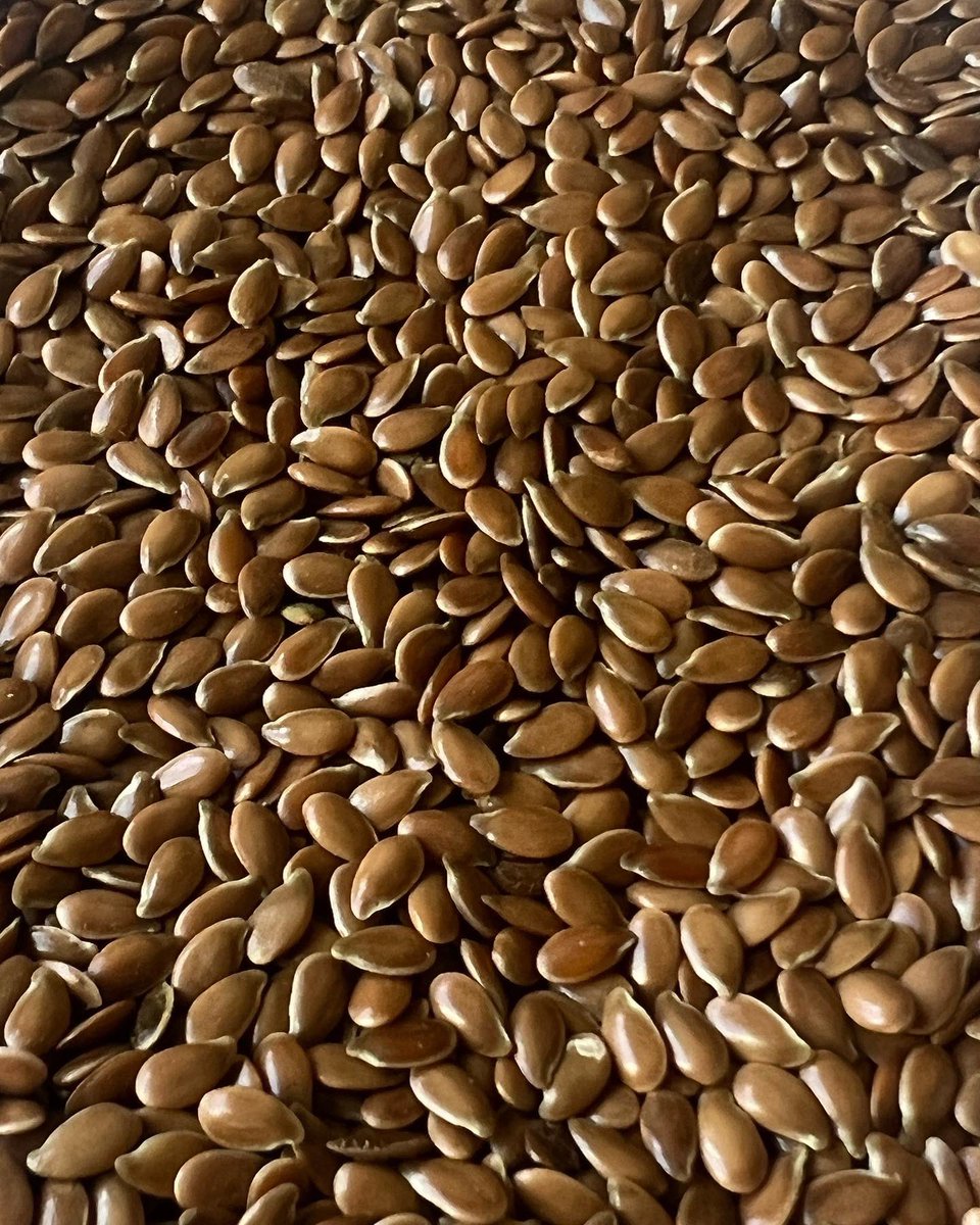 KRASTMALILV's tweet photo. Linseed - just started to clean them! Looks good! https://t.co/1uUpk9jZAY