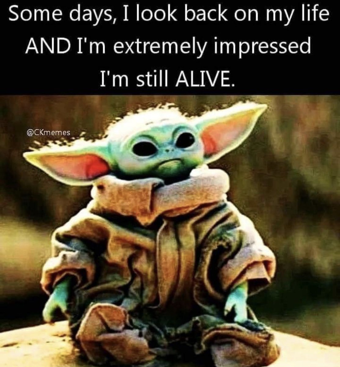 Light Prism tweet media