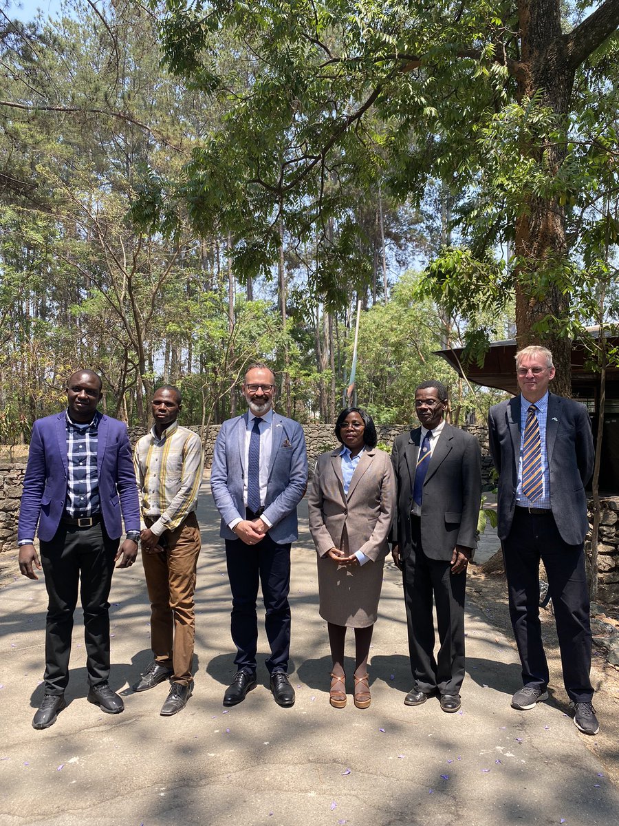 Sweden in Zambia 🇸🇪 tweet media