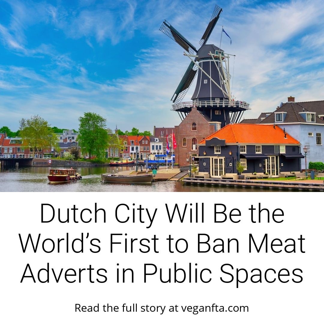 teamveganfta's tweet photo. The Dutch city of Haarlem will be the world’s first to ban meat adverts in public spaces. From 2024 they will not be allowed on buses, shelters, and public screens. 🙌 🌱 🇳🇱

🧐 Read the full story: https://t.co/bRa3hyW8AN

#nethlands #meat #meatfree #plantbased #vegan #haarlem https://t.co/Va5VZj0dMJ