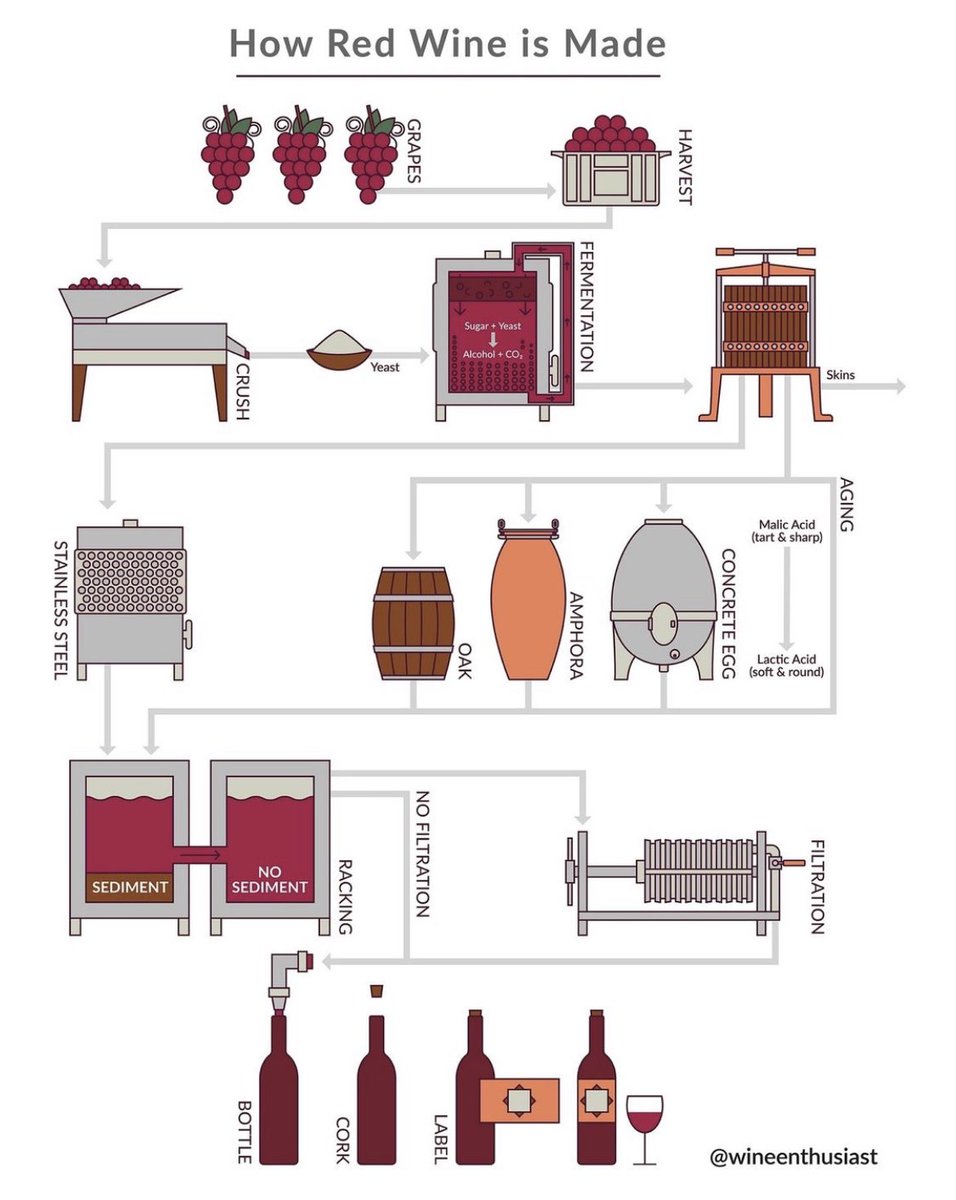 How “Red” wine is made🍷

#howeedwineismade #redwinelover #wineaffiliate #wineopportunity #mywinehangout