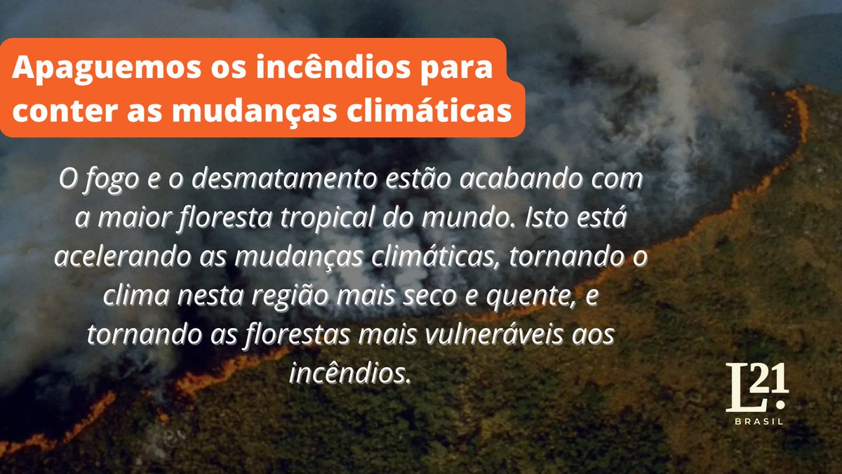 A cada ano, os incêndios destroem mais de 8mil km² de floresta, reduzindo o estoque de carbono da Amazônia, uma de suas maiores capacidades para mitigar a mudança climática.
Leia: bit.ly/3BQEo28
@IAI_news @acmoreirapessoa, @LianaAmazonia, @celsohlsj, Marcus Silveira