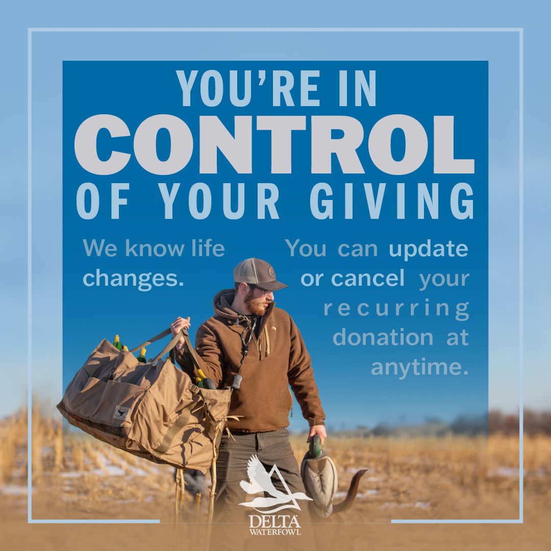 DeltaWaterfowl's tweet photo. A recurring donation to the #MillionDuck Campaign can be modified as needed. YOU'RE IN CONTROL OF YOUR GIVING! @DeltaWaterfowl #DuckHunters #DonateToday #MillionDucks
https://t.co/dufmDkd3NS https://t.co/bVZ1fRYlJ9