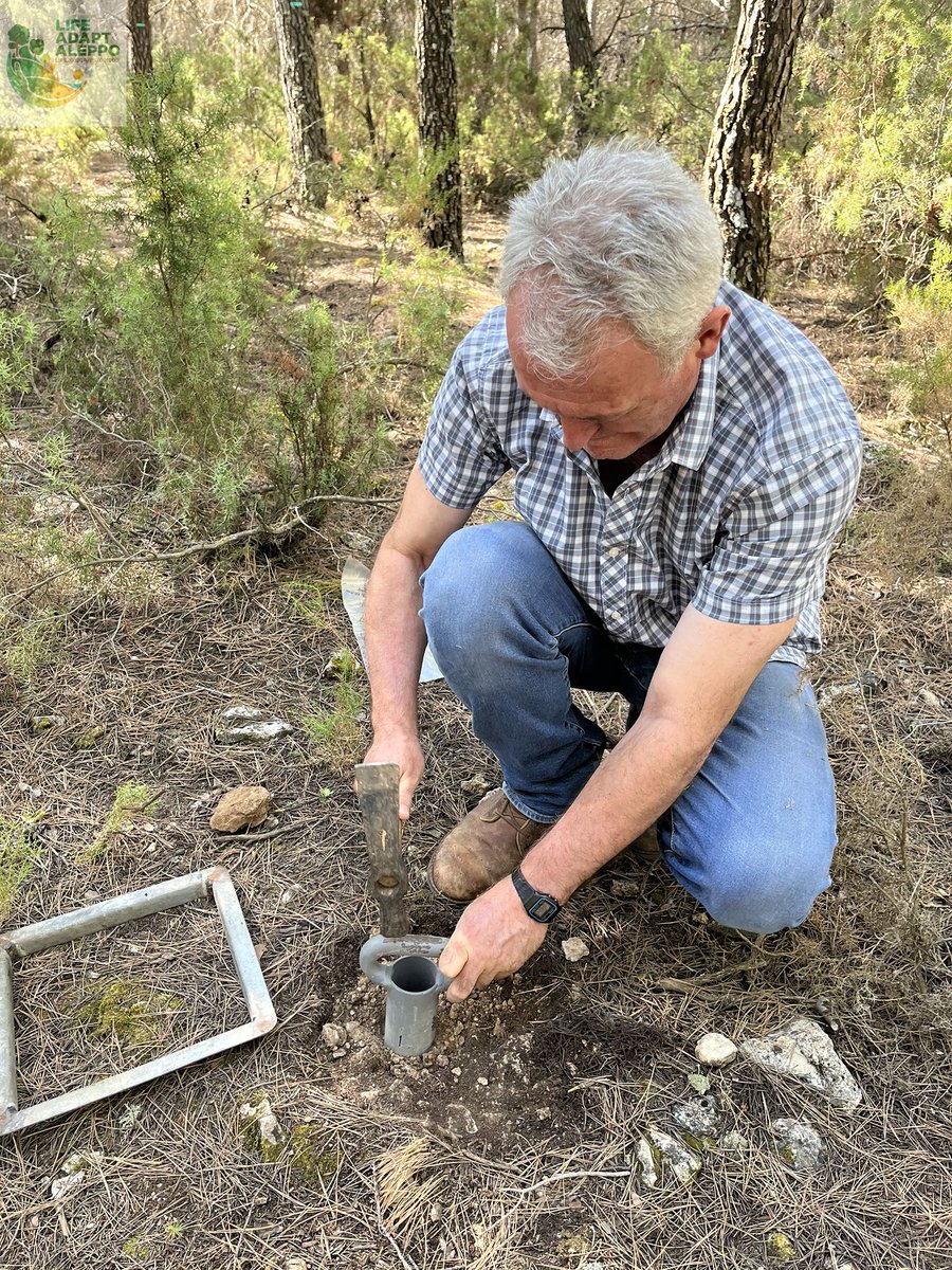adaptaleppo's tweet photo. En #LIFE #Adaptaleppo se toman muestras de suelo para caracterización físico-química, para comprobar si los trabajos de #GestiónForestal modifican sus propiedades.
#LaHunde #investigación #UPV
@UPV  @ETSEA_UdL  @EtsiamAb @agrestascoop @IEntornoNatural
 ⏩  https://t.co/Ub11btBttl https://t.co/F2GKGE9ElD