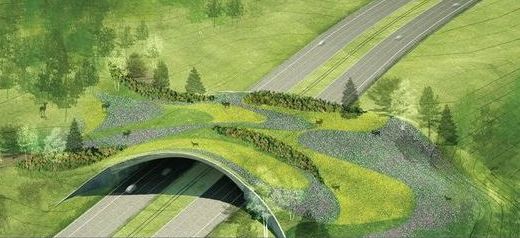 jim rose circus tweet media