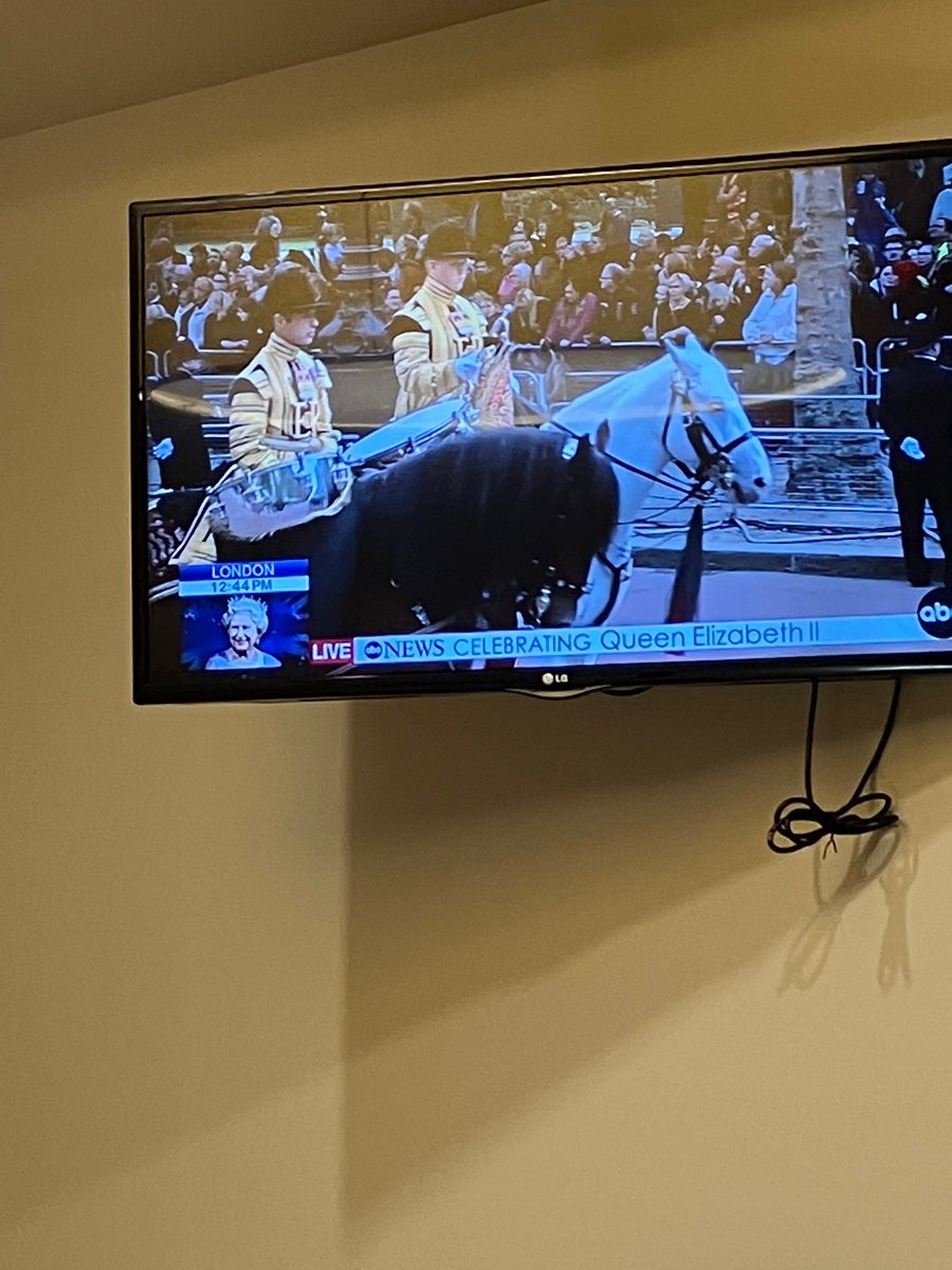 ericfrisch's tweet photo. Quickly snapped in a waiting room this morning. New career goal: horse timpanist. https://t.co/UPwvPwKjvd