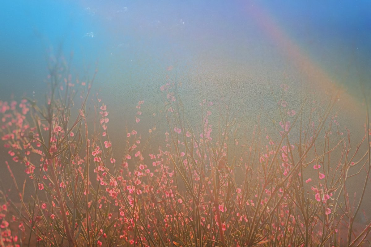 canvasoul_'s tweet photo. breathe, and let your heart break for the world https://t.co/GCsMqOBNR5