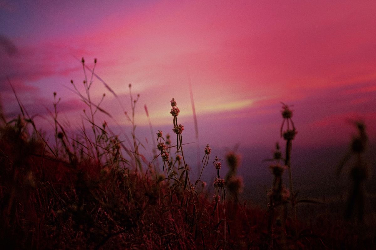 canvasoul_'s tweet photo. breathe, and let your heart break for the world https://t.co/GCsMqOBNR5