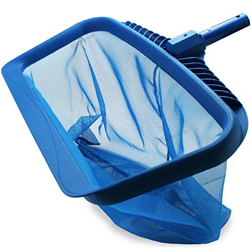 GrahameWhyte's tweet photo. 20 Best Pool Leaf Rakes: TedTools Ideals Buying Guide
Read more: https://t.co/lCSyjs7lZ3
#TedTools #TedToolscom #BestPoolLeafRake #PoolLeafRake #WhyteGrahame https://t.co/PrKYFKI1xV