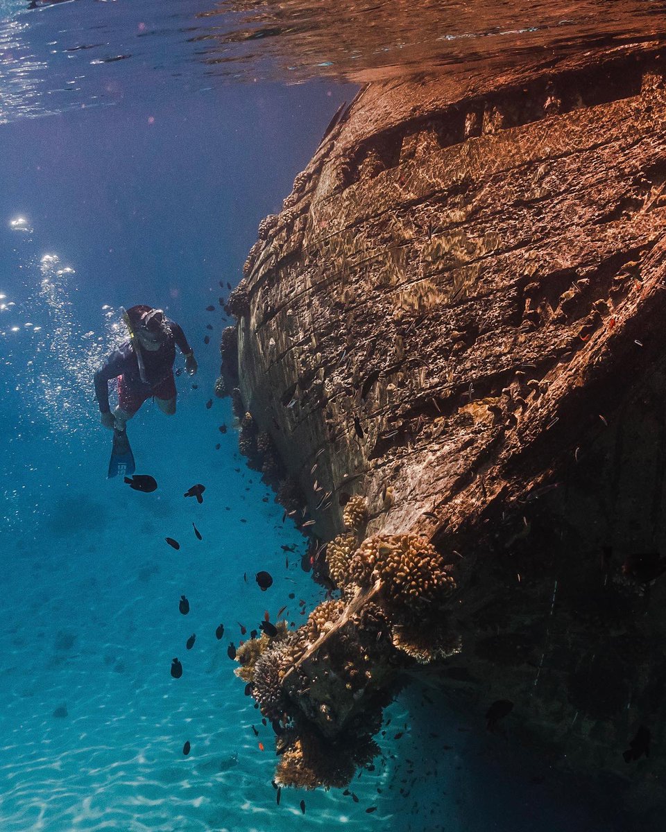 Take a deep dive to find a hidden shipwreck discovered in Vaavu Atoll, a short boat ride away. Swim amongst the schools of fish that gather in this magical spot, taking some time out to explore what lies beneath the ocean's surface. ☀️ 

#SunSiyam #Olhuveli #Maldives