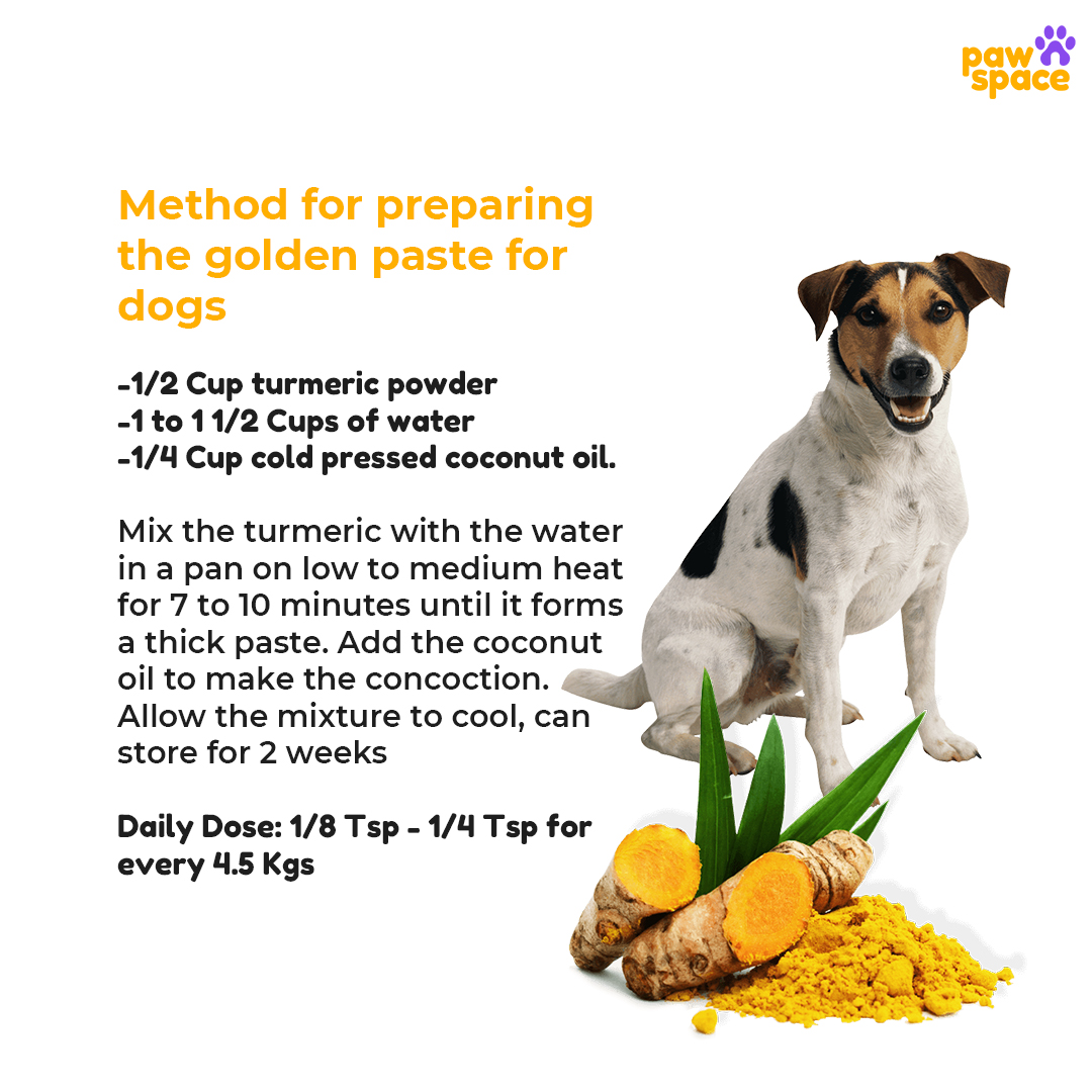 Pawspaceindia's tweet photo. Turmeric has Anti-inflammatory effects, turmeric is often given to dogs with common joint conditions that are caused by inflammation. Turmeric is safe for dogs in small doses, and it may have a positive impact.
So we are here with small helpful tips !!
#tipsforpets
#pawspace https://t.co/NVFT0V9E8R