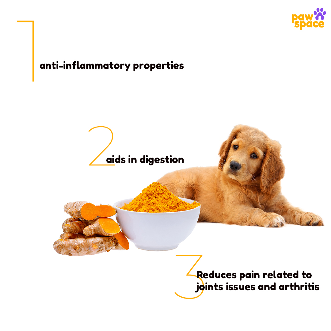 Pawspaceindia's tweet photo. Turmeric has Anti-inflammatory effects, turmeric is often given to dogs with common joint conditions that are caused by inflammation. Turmeric is safe for dogs in small doses, and it may have a positive impact.
So we are here with small helpful tips !!
#tipsforpets
#pawspace https://t.co/NVFT0V9E8R