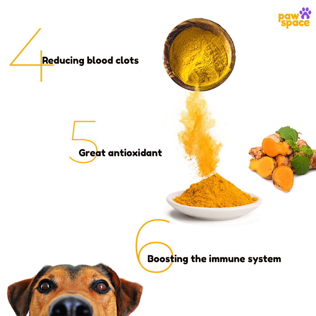 Pawspaceindia's tweet photo. Turmeric has Anti-inflammatory effects, turmeric is often given to dogs with common joint conditions that are caused by inflammation. Turmeric is safe for dogs in small doses, and it may have a positive impact.
So we are here with small helpful tips !!
#tipsforpets
#pawspace https://t.co/NVFT0V9E8R