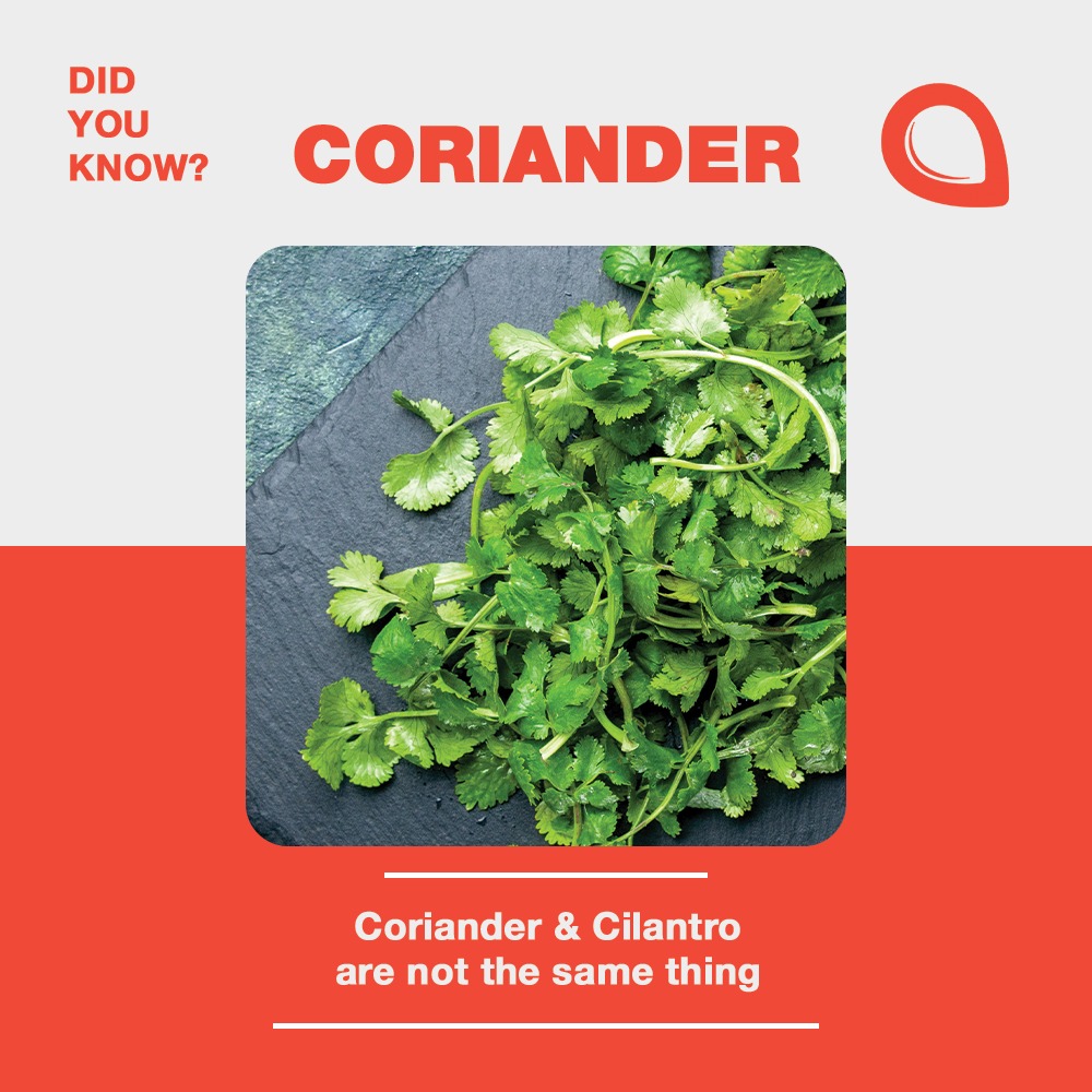 Amealio4's tweet photo. Weren't these facts awesome and unique...just like Amealio's features! Check out these on the Amealio mobile app. 

Download The App &amp; Enjoy Your Moments!

#amealio #amealioapp #foodapp #foodstyling #punekars #punefoodie #trendingreels #trending #foodbloggers #feature https://t.co/6GAg4GqlnY