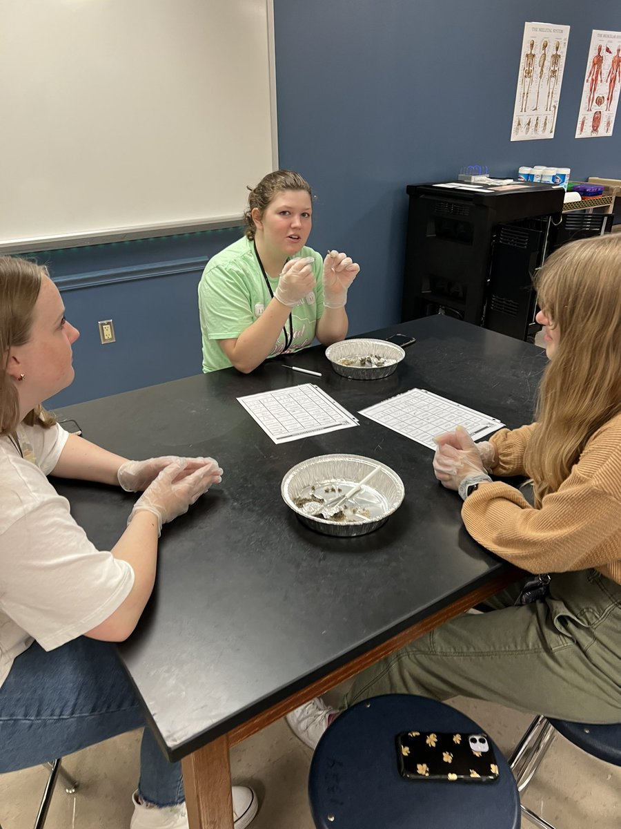 Mary Marshall tweet media