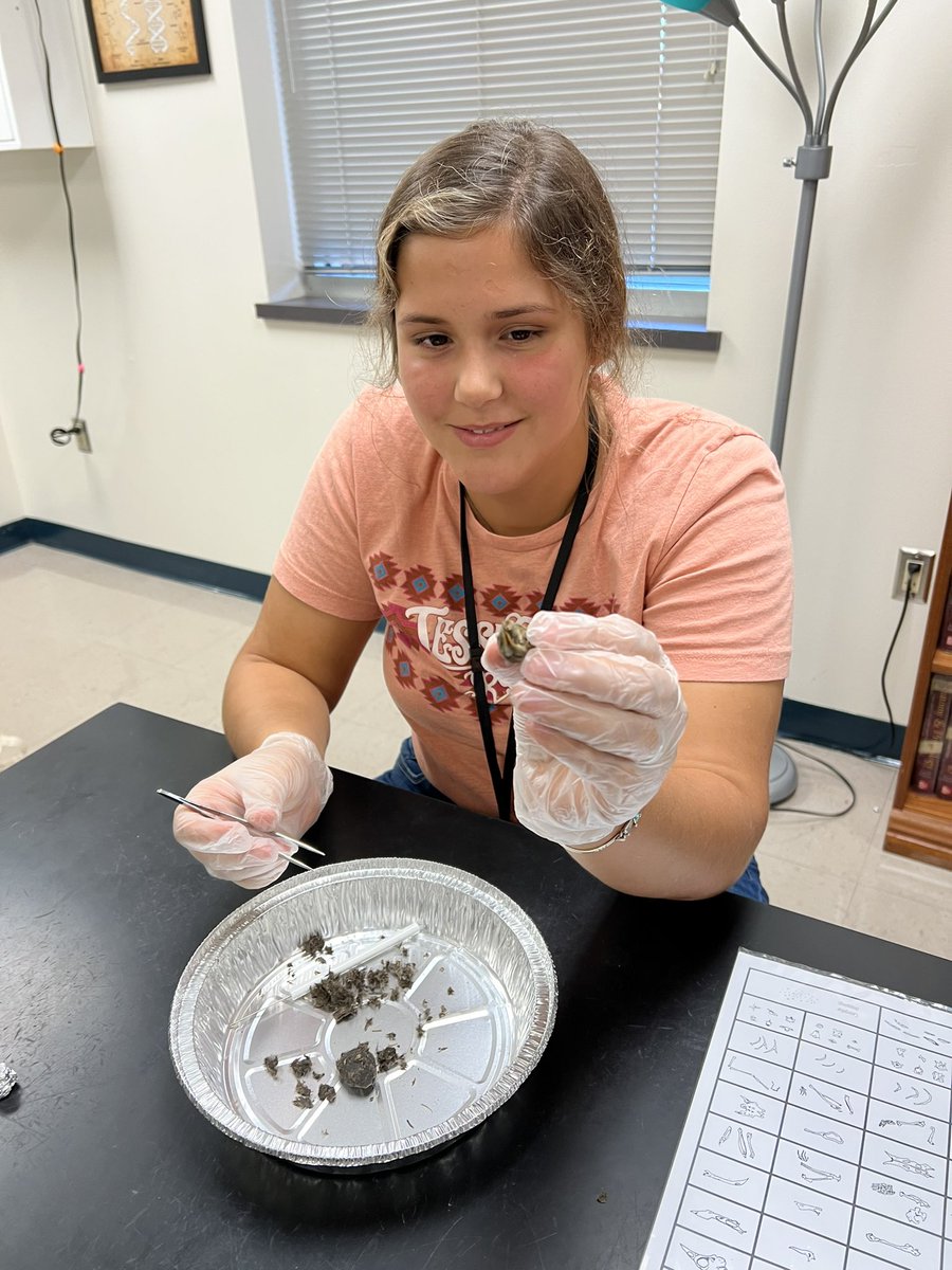 Mary Marshall tweet media