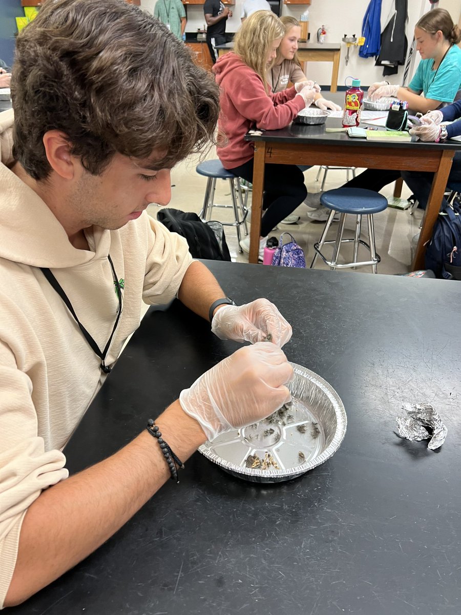 Mary Marshall tweet media