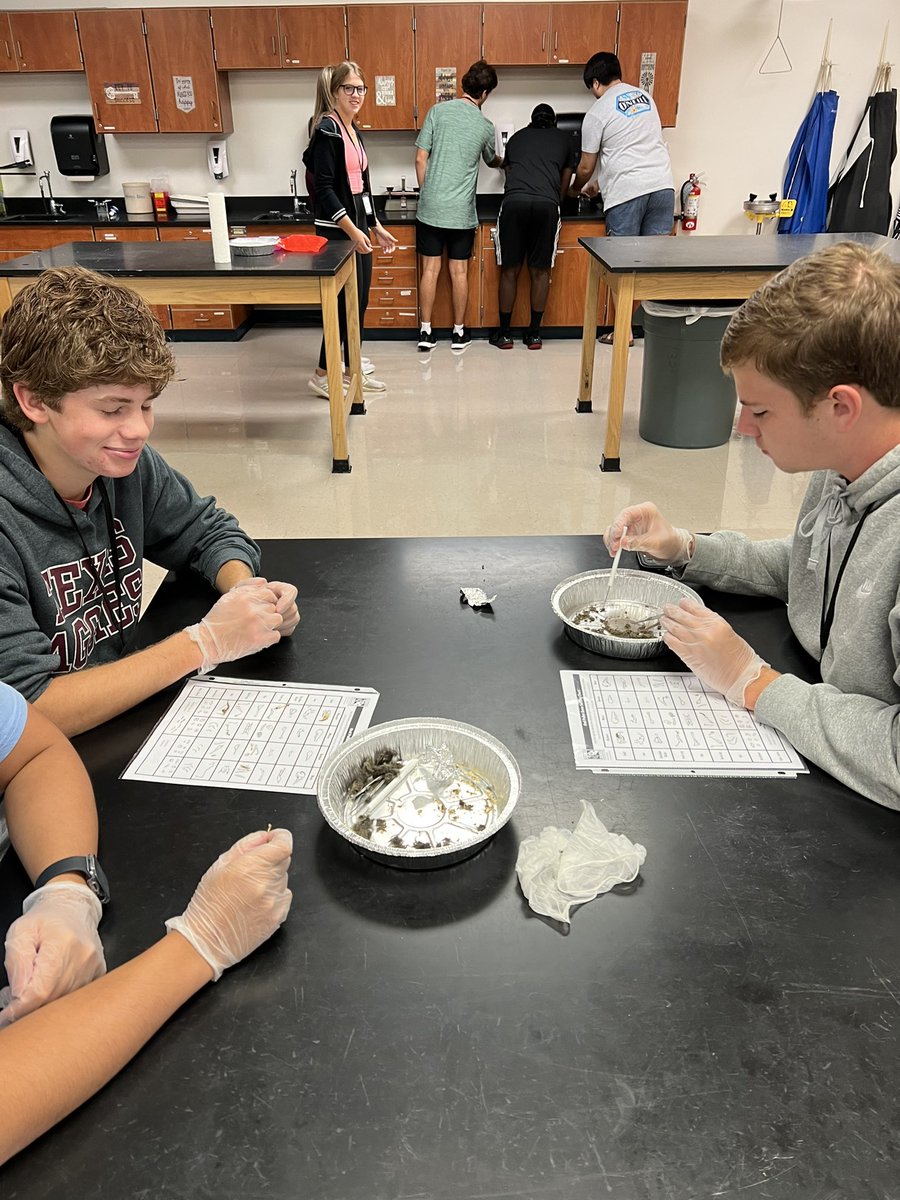 Mary Marshall tweet media