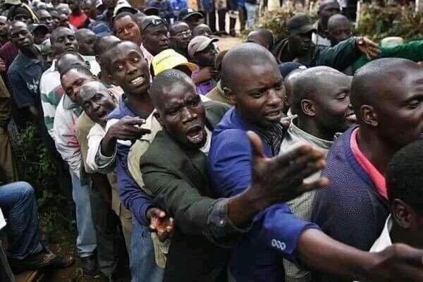 Black Panther🇺🇬 tweet media