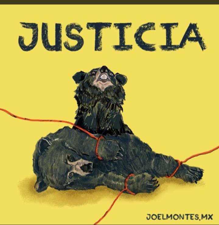 wendigloom's tweet photo. @mrikelme Y como va el caso del ozesno que mataron en tu estado? https://t.co/t6BGYWcvJr