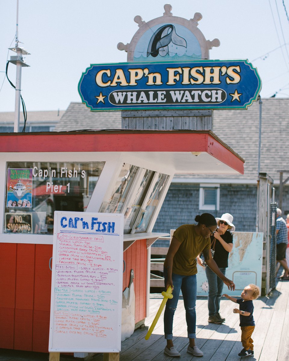 mainewhales's tweet photo. Happy Monday, everyone! It's looking like another great week here in Boothbay ☀️ 
​
​Ph: Megan Clouse https://t.co/E0ClGIu6gG