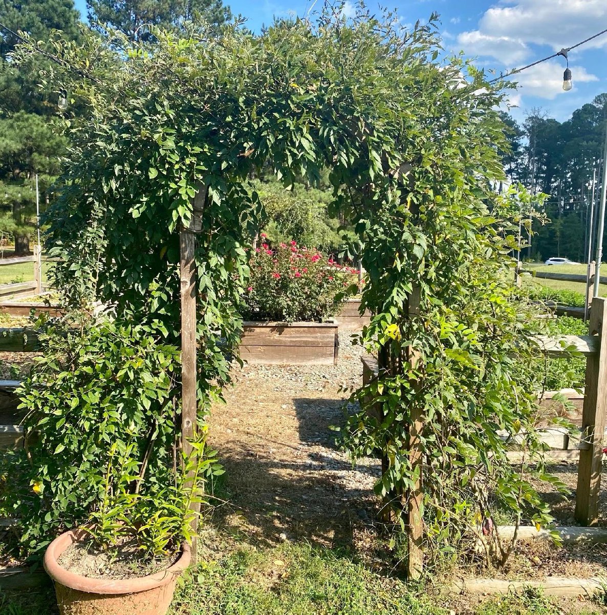 TabletopMediaGp's tweet photo. Have you purchased your ticket for @SassoolCafe's FIGMint Farm Inaugural Dinner yet? ๐ณ๐
Dinner will include a cocktail hour, appetizers, DJ, yard games, plated dinner, belly dancing performance, and dessert. ๐ฝ๐ถ
To purchase, visit: https://t.co/BmOddHWLkK
#sassool https://t.co/UPym2lZGwf