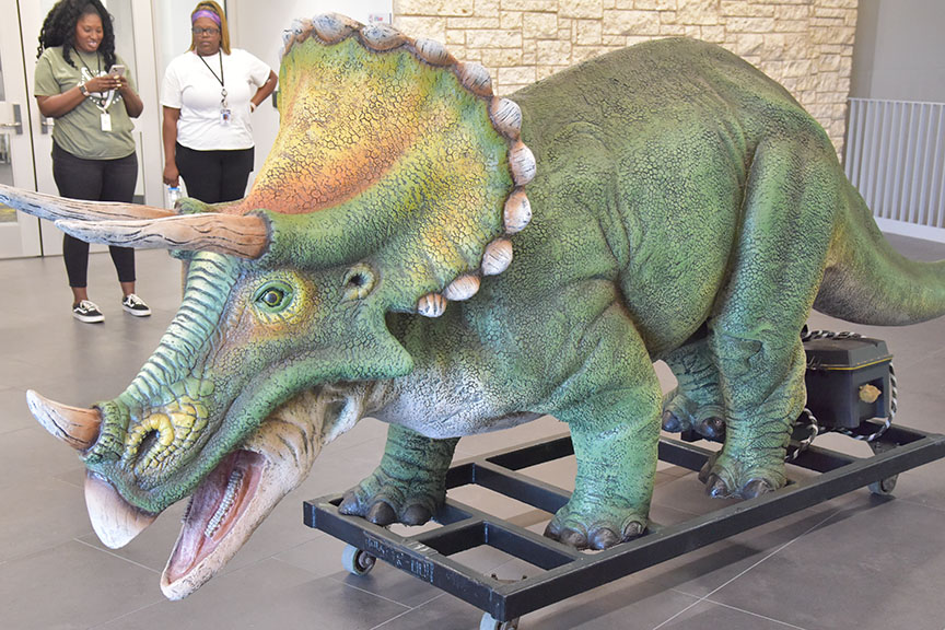 The Allen ISD STEAM Center added a scaly and horned ambassador to greet elementary students as they enter the facility. The not-yet-named juvenile triceratops is an animatronic exhibit, on loan from Allen’s Billings Productions, the world leader in producing animatronic dinos.