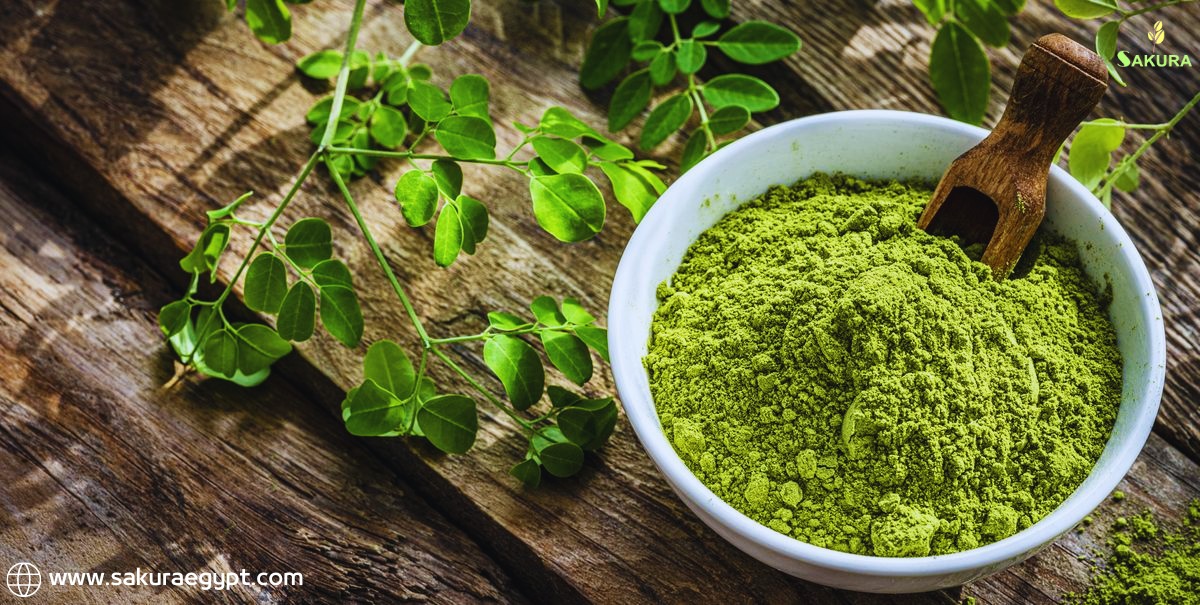 SakuraEgypt's tweet photo. #sakur_egypt
#moringa https://t.co/Ifbtacokfn