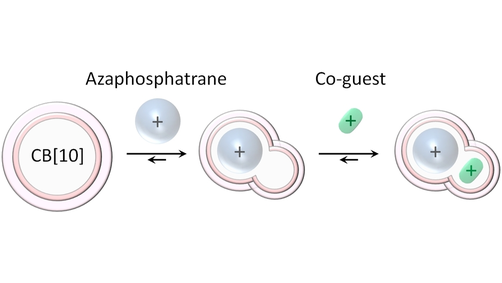 Sequential Formation of Heteroternary Cucurbit[10]uril Complexes (S. Liu, A. Martinez, A. Kermagoret, D. Bardelang et al.) <a href="/Pumpkin_Hosts/">Simin Liu</a> onlinelibrary.wiley.com/doi/10.1002/ch…