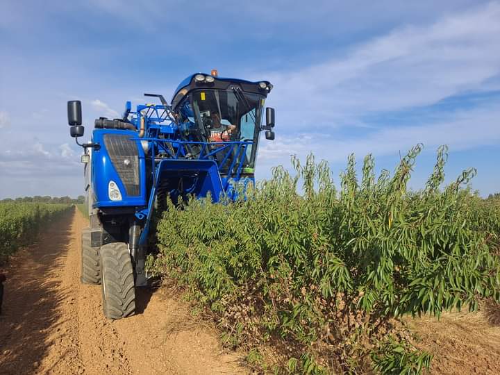 Empresa Agraria tweet media