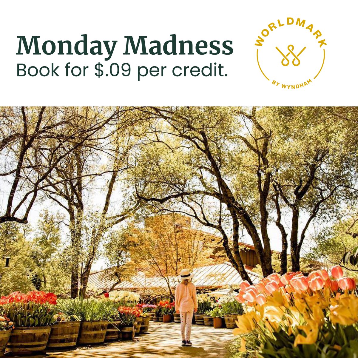 Your resorts. Only $.09 per credit. View Monday Madness deals: wy.ndh.am/3dke5bv