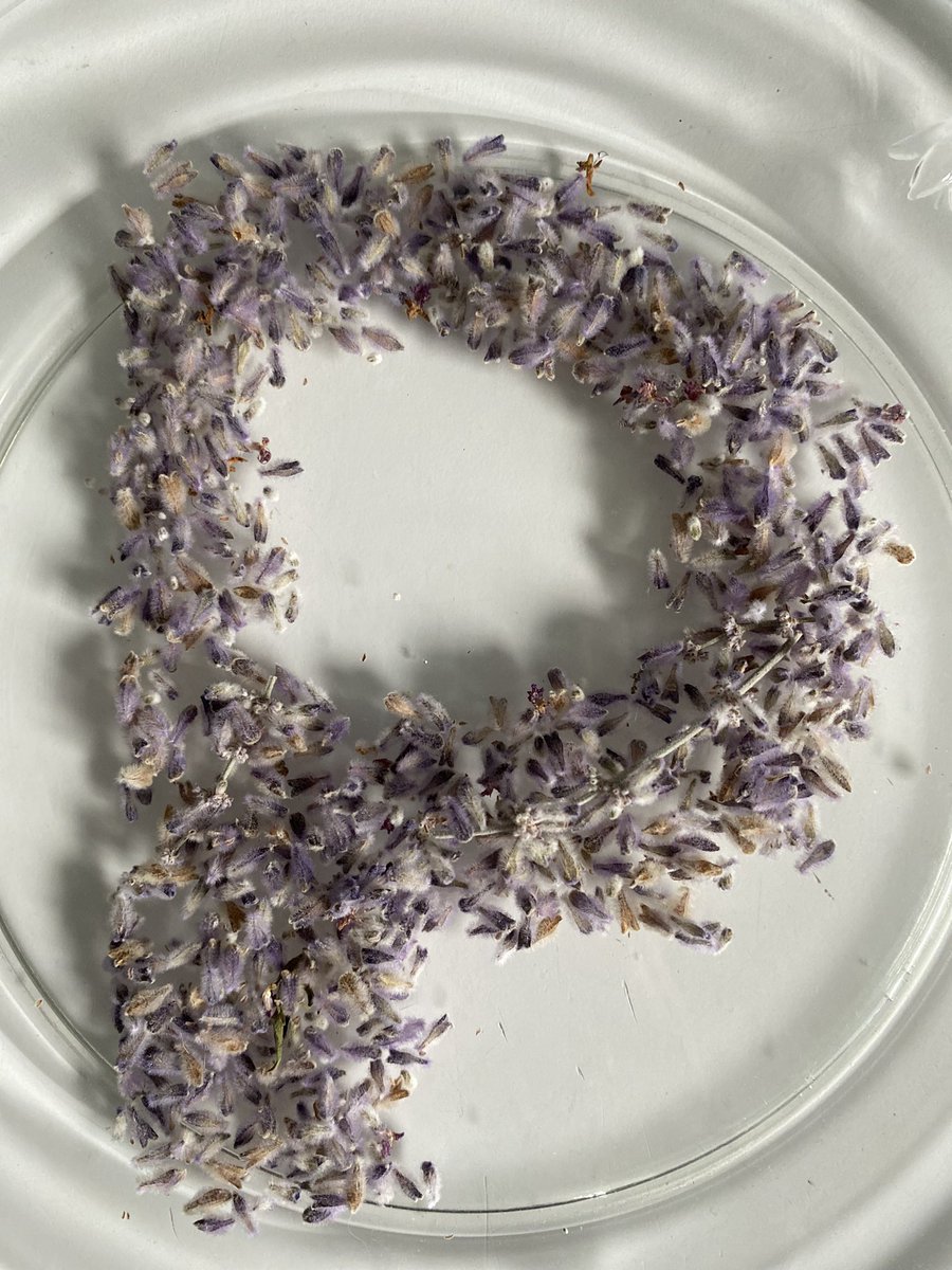 PIVXcommunity's tweet photo. #P is for #PIVX. (Part 2)
Show us an image of the letter P with materials you have around you, and we’ll show you some PIV! 🎉
5 prizes of 25 PIV to be won. 

#Contest ends Sept 23rd. 08:00 EST. 

#PIVXcommunity #community #ContestAlert https://t.co/OpdD6N3D0Q