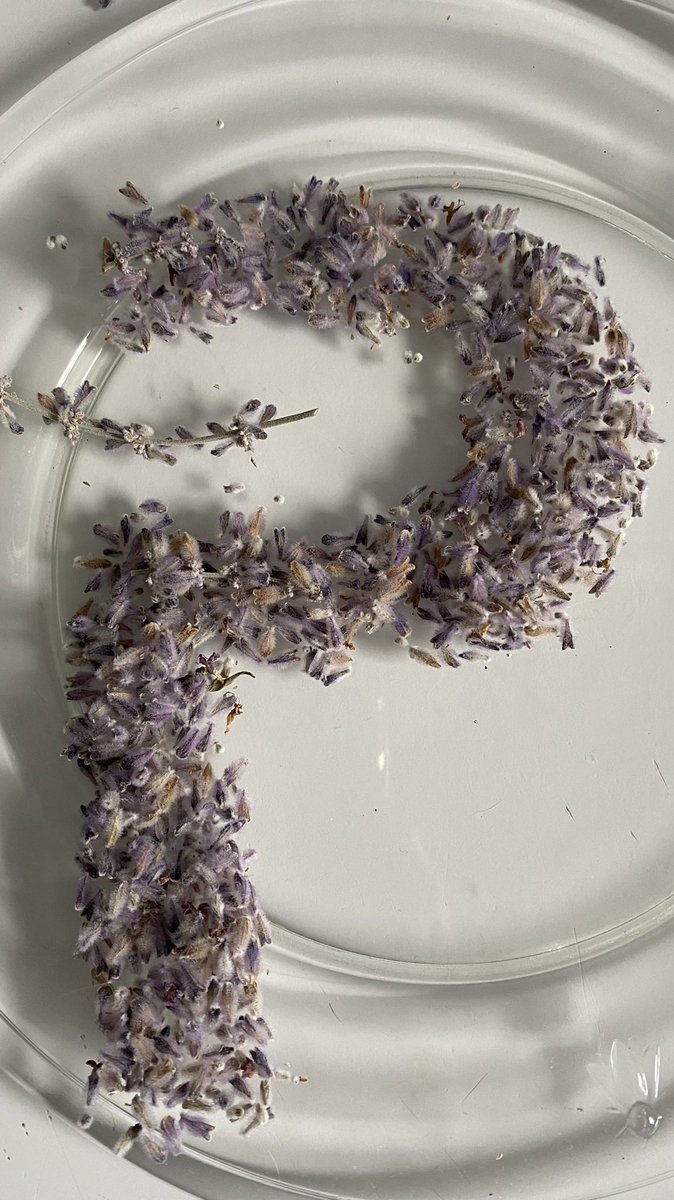 PIVXcommunity's tweet photo. #P is for #PIVX. (Part 2)
Show us an image of the letter P with materials you have around you, and we’ll show you some PIV! 🎉
5 prizes of 25 PIV to be won. 

#Contest ends Sept 23rd. 08:00 EST. 

#PIVXcommunity #community #ContestAlert https://t.co/OpdD6N3D0Q