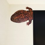 ツイートに含まれる画像