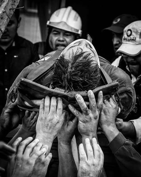aefo74_lml's tweet photo. #19S1985
#19S2017 https://t.co/hYiVBw43tm