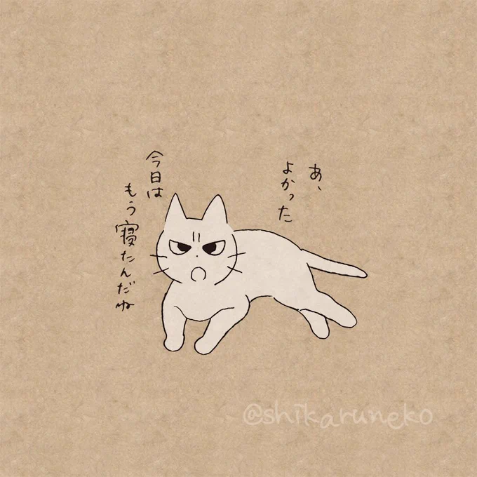 布団に入った後スマホをいじる人を叱ってくれる猫 
