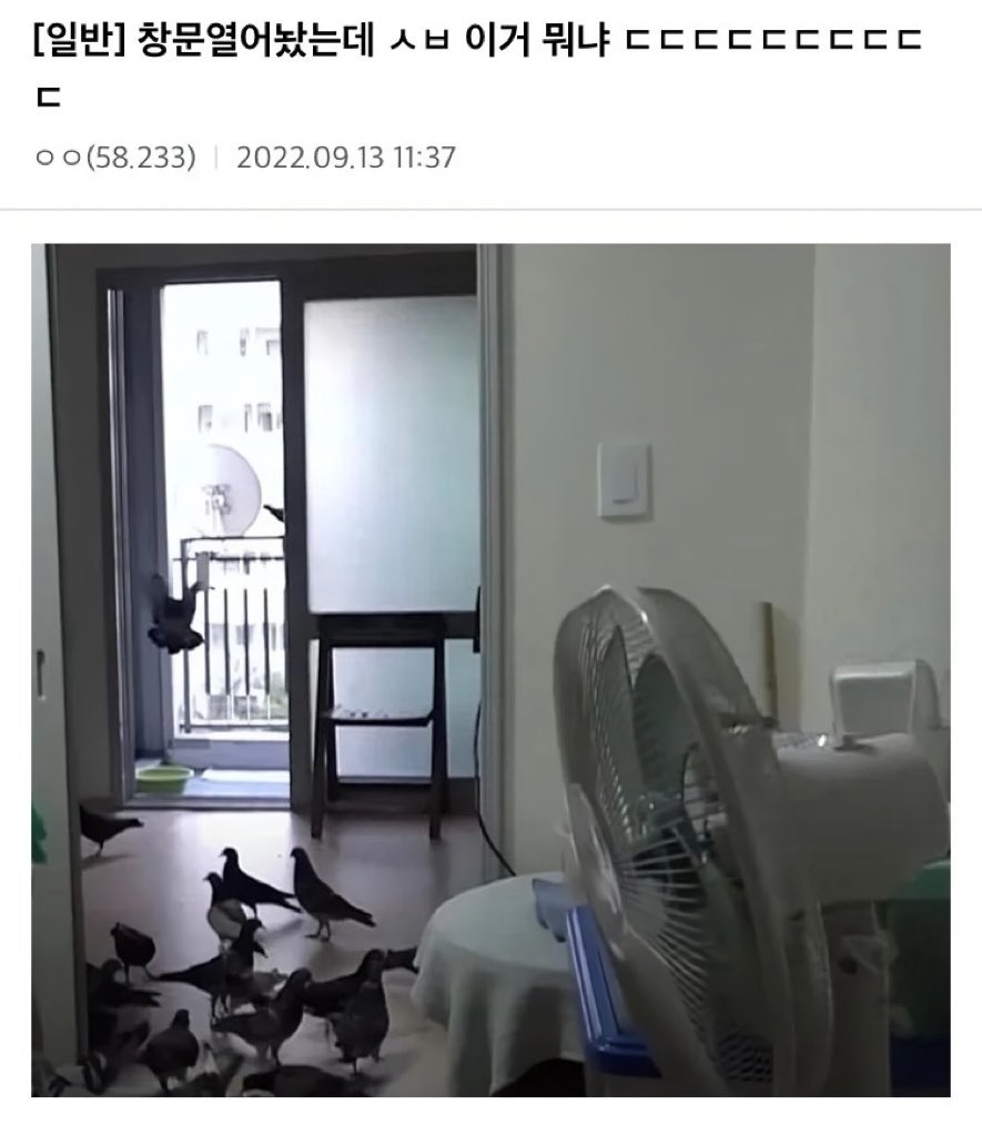 창문열어놨는데 갑자기 새삥챌린지 들어옴 ㄷ ㄷㄷㄷㄷㄷㄷㄷ  ㄷㄷㄷㄷ